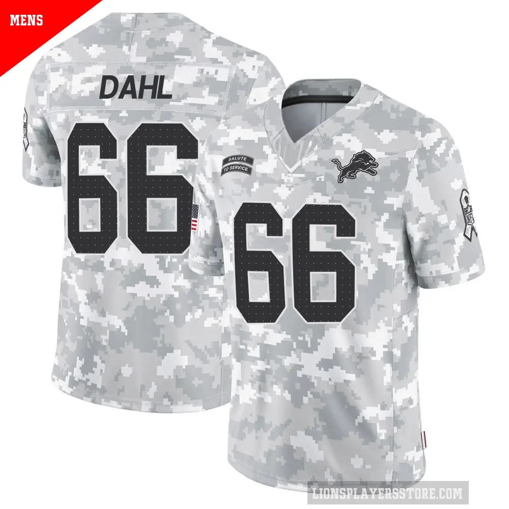 Men's Detroit Lions ＃66 Joe Dahl Arctic Camo Limited 2024 Salute to Service Jersey